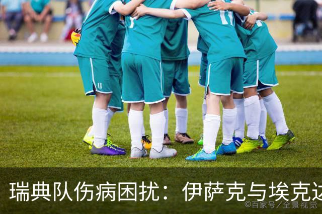 瑞典队伤病困扰：伊萨克与埃克达尔退出集训