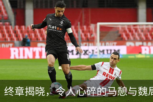 终章揭晓，令人心碎的马憩与魏局隔栏对话